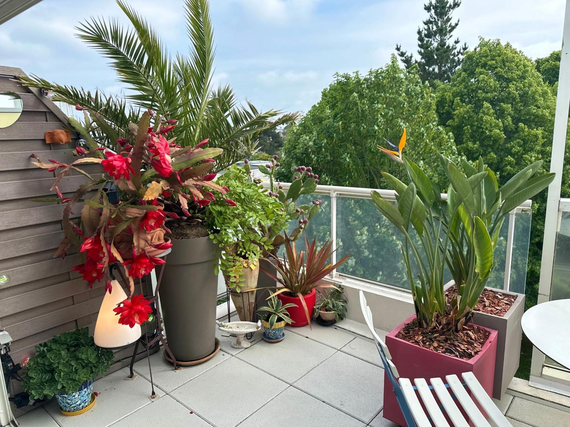 Appt Lumineux & Calme , Idealement Bien Situe , Velo A Disposition La Baule-Escoublac Esterno foto